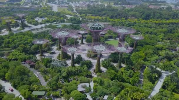 Vista Aérea Dos Jardins Super Tree Garden Jardins Grove Junto — Vídeo de Stock