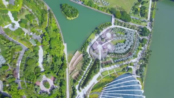 Αεροφωτογραφία Πουλιών Της Σιγκαπούρης Κήποι Από Τον Κόλπο — Αρχείο Βίντεο