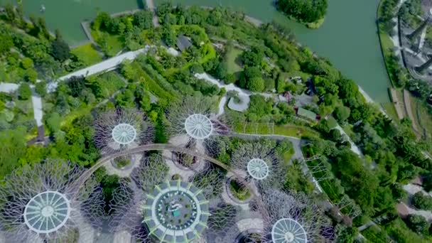 从新加坡湾的花园俯瞰空中全景和鸟瞰 — 图库视频影像