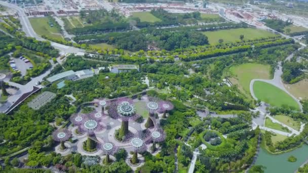 Εναέρια Πανόραμα Του Marina Bay Gardens Της Σιγκαπούρης — Αρχείο Βίντεο