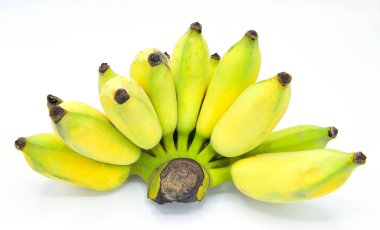 Tay Ekili muz beyaz arka plan izole.