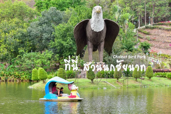 Chai NAT Thaiföld december 26 2019 lásd a madarak Chai NAT Bird PA — Stock Fotó