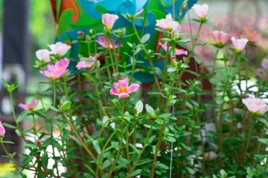 Rayong Tayland Nisan 08 2019 tanımlanamayan insanlar görmeye geliyor