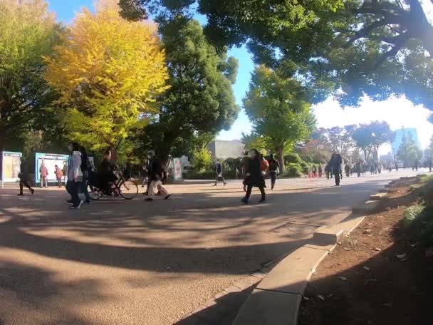 Tokyo Japon Novembre 2019 Nombreuses Personnes Promènent Parc Ueno Regardent — Video