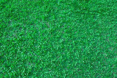 Koyu bir arka plan üzerinde dikişsiz desen yaprakları. 