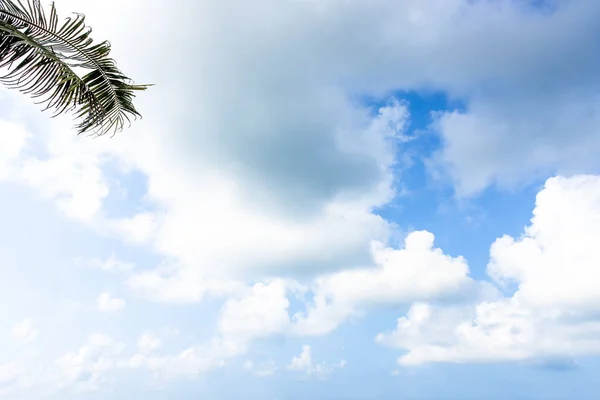 Natur strahlend blauer Himmel mit weißen Wolken auf schwarzem Grund. schönheit — Stockfoto