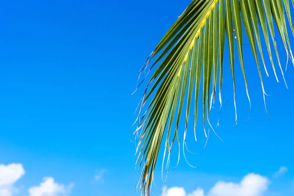 Natur strahlend blauer Himmel mit weißen Wolken auf schwarzem Grund. schönheit — Stockfoto