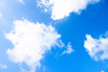 Bakır döküm bronz fil beyaz arka plan üzerinde 