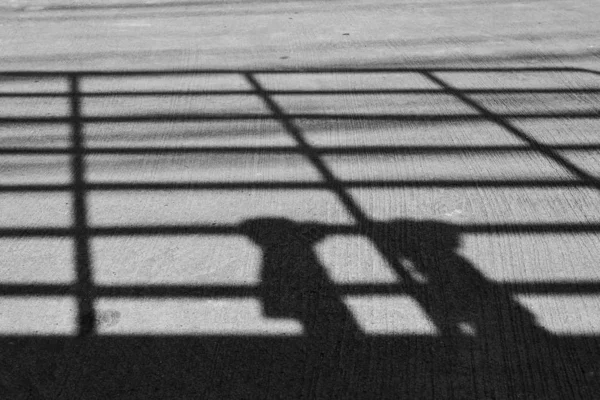Der Schatten des Kühlergrills auf der Straße. — Stockfoto