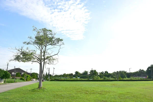 Blauwe hemel witte wolk witte achtergrond. Prachtige hemel en wolken — Stockfoto