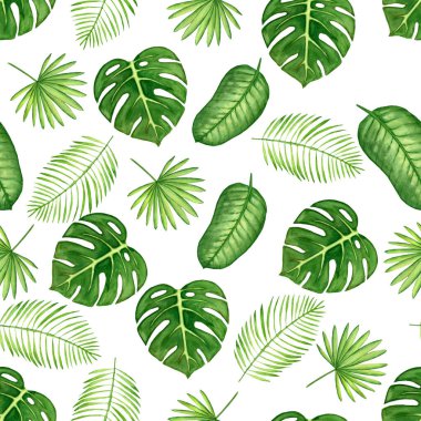 Beyaz arkaplanda izole edilmiş tropikal yaprakların kusursuz suluboya deseni.