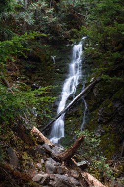 British Columbia eyaletinde şelaleler, Kanada