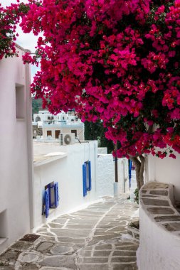 Narrow alley by buildings and tree, Paros, Greece clipart