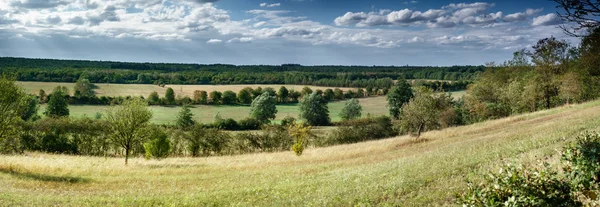 Grüne Wiese Unter Bewölktem Himmel Belgien — Stockfoto