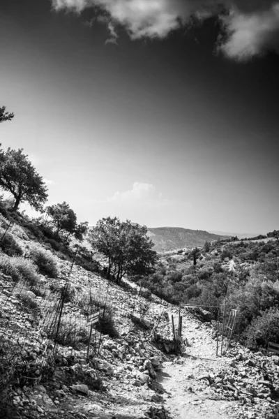 Θέα Από Γραφικό Τοπίο Και Βουνό Κρήτη Ελλάδα — Φωτογραφία Αρχείου