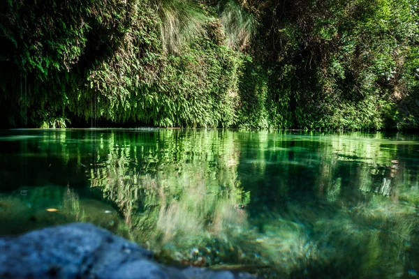 Потік Води Тропічних Лісів Крит Греція — стокове фото