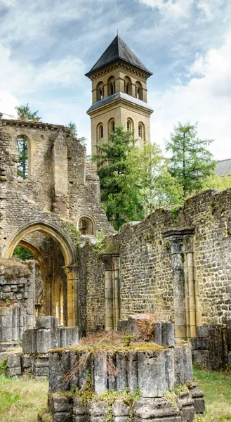 Ruinas Antiguas Con Estructura Arqueada Bélgica —  Fotos de Stock