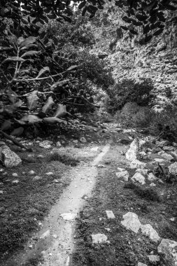 Patika doğru hill adlı Crete, Yunanistan