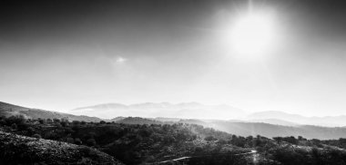 Manzaralı dağlar ve ormanlık, Crete, Yunanistan