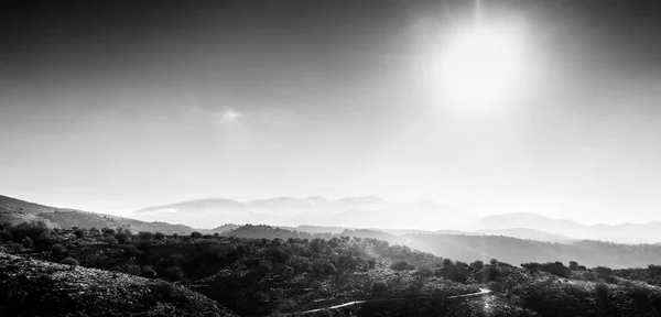Vistas Panorámicas Montañas Bosques Creta Grecia — Foto de Stock