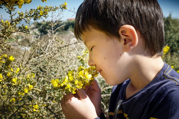 Ragazzo Odore Fiori Gialli Con Gli Occhi Chiusi — Foto Stock