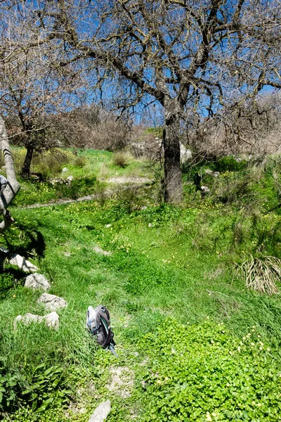 View of bag amidst lush foliage at Crete, Greece