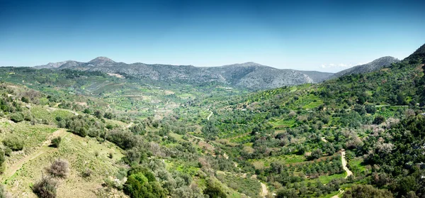 Crete, Yunanistan, Avrupa ekili dağlık bölgenin havadan görünümü