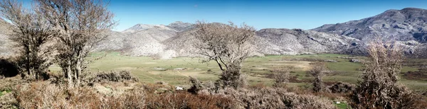 View Green Field Amidst Mountain Peak Crete Greece Europe — Stock Photo, Image