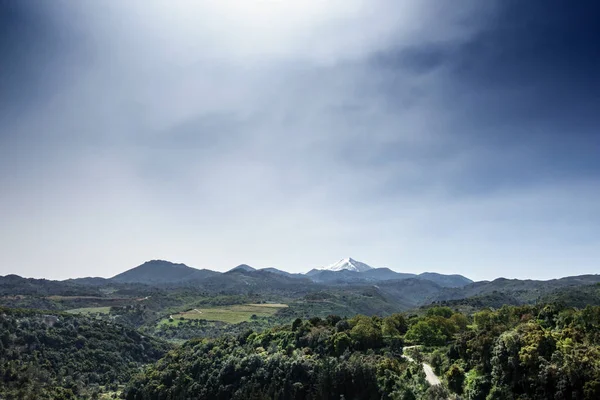 フォア グラウンドで青々 とした葉と雪を頂いた山の遠景 — ストック写真