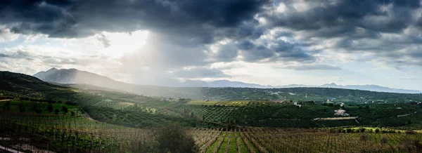 Panoramatický Pohled Zelené Louky Hory — Stock fotografie
