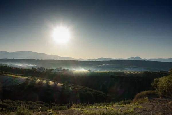 明亮的阳光下的山脉和田野景观 — 图库照片