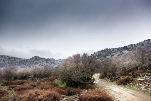 Berglandschaft Mit Nebel Und Bäumen — Stockfoto