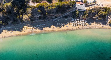 Plaj şemsiyeleri ve şezlongların havadan görünümü