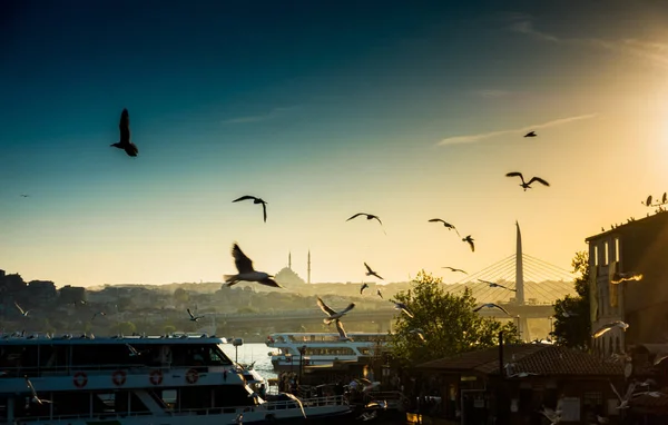 Vista do navio no porto com ponte no fundo — Fotografia de Stock