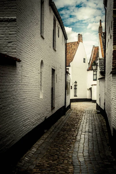 Alley at Leuven Beguinage — Stock Photo, Image