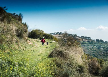 Patikada koşan evcil köpekli çocuk