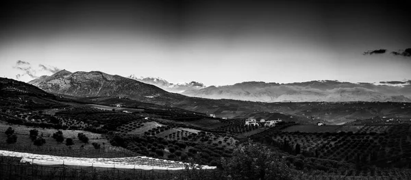 Vista panorámica del campo agrícola — Foto de Stock