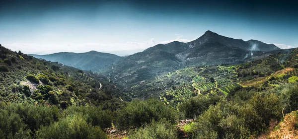 Montañas cubiertas de árboles — Foto de Stock