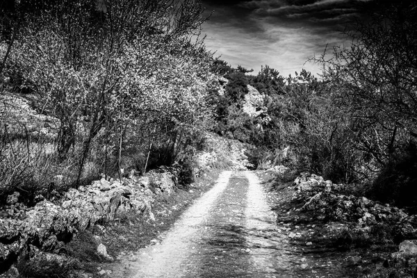 Strada di campagna stretta — Foto Stock