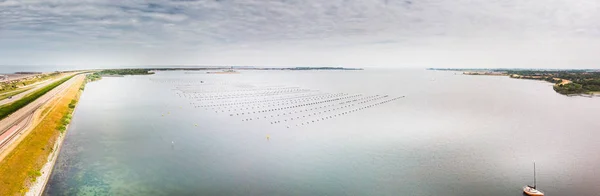 Boa sulla superficie dell'acqua di mare — Foto Stock