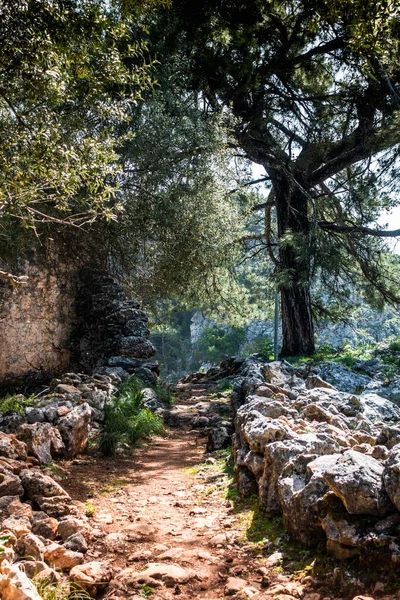 Narrow roads of old Greek village, Greece — Stock Photo, Image