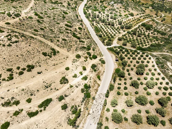 Vista del campo y caminos sinuosos en Creta, Grecia — Foto de Stock