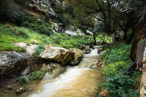 Flowing water of stream — Stock Photo, Image