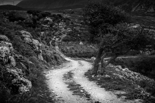 Carretera estrecha sinuosa en el bosque —  Fotos de Stock