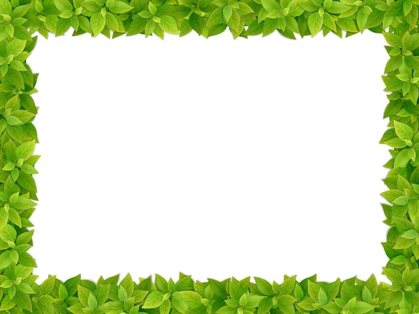 Quadro quadrado de folhas verdes frescas —  Vetores de Stock