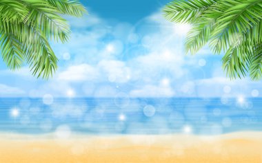 Beach palm ile ağaçlar ve arka plan vurgulamaktadır