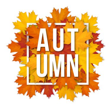 Sonbaharda akçaağaç yaprakları ile çerçeve