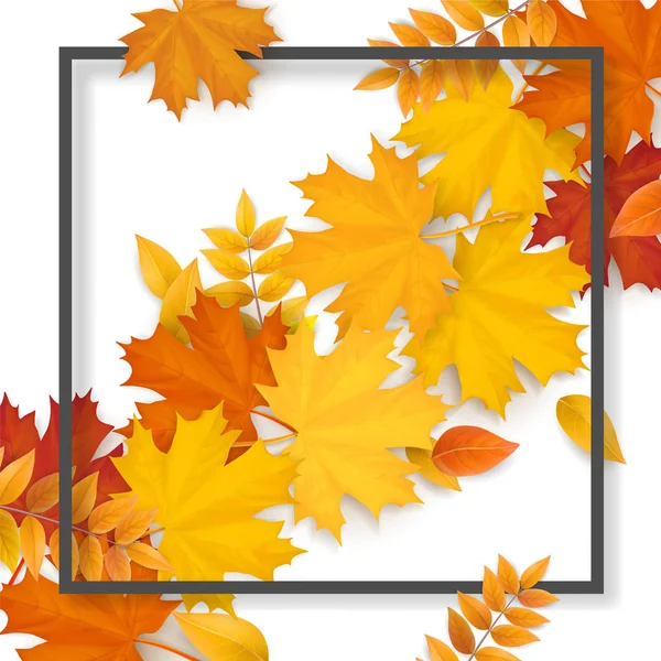 Frame autumn fallen leaves — Stock Vector