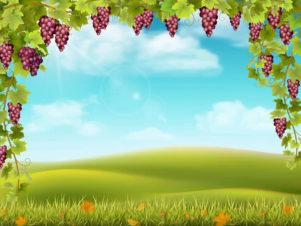 Vörös szőlő arch és a vidéki táj — Stock Vector