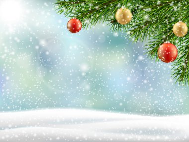 Noel ağacı dalı kış manzarası